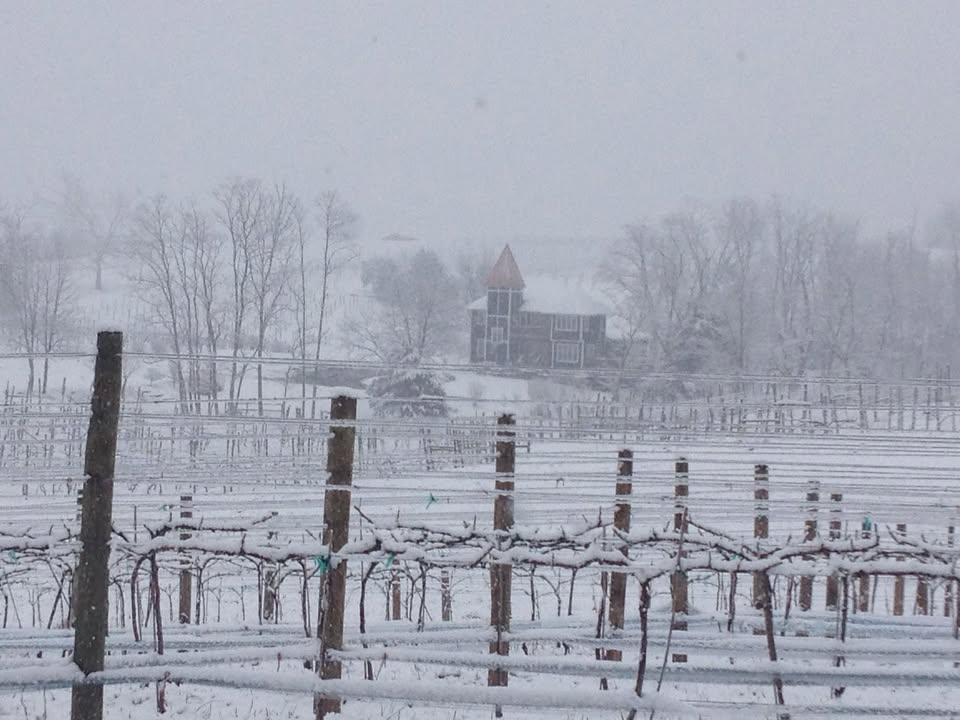 Snow is coming down hard. It's a beautiful Spring day!