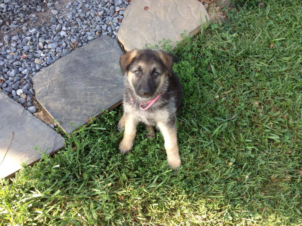 Come out to the vineyard and meet our latest addition.