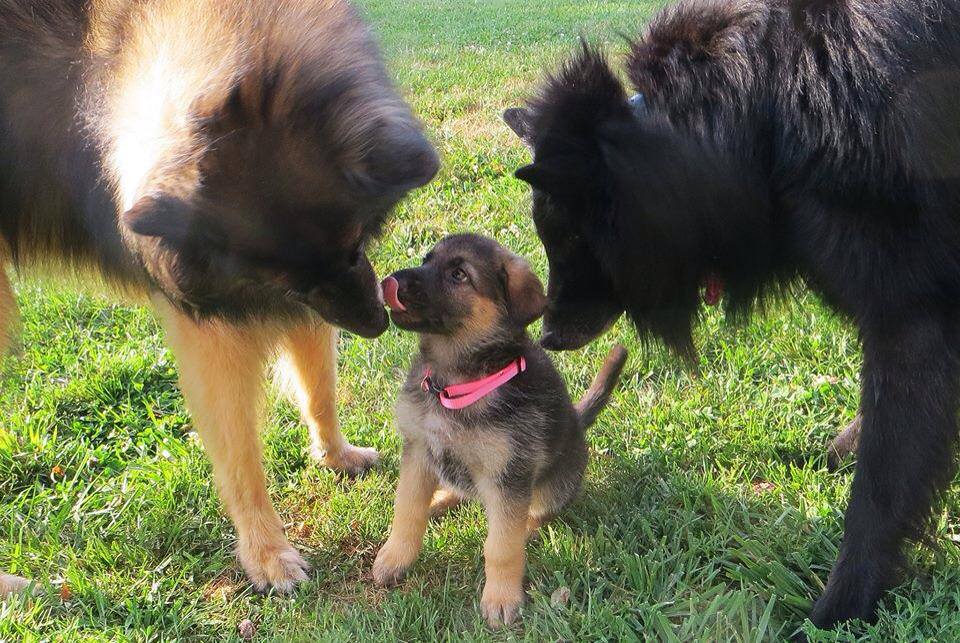 Delilah is already growing too fast. Come meet her before she gets big.