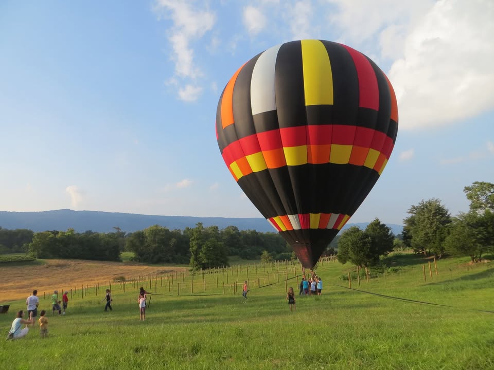 Hot Air Balloon Launch