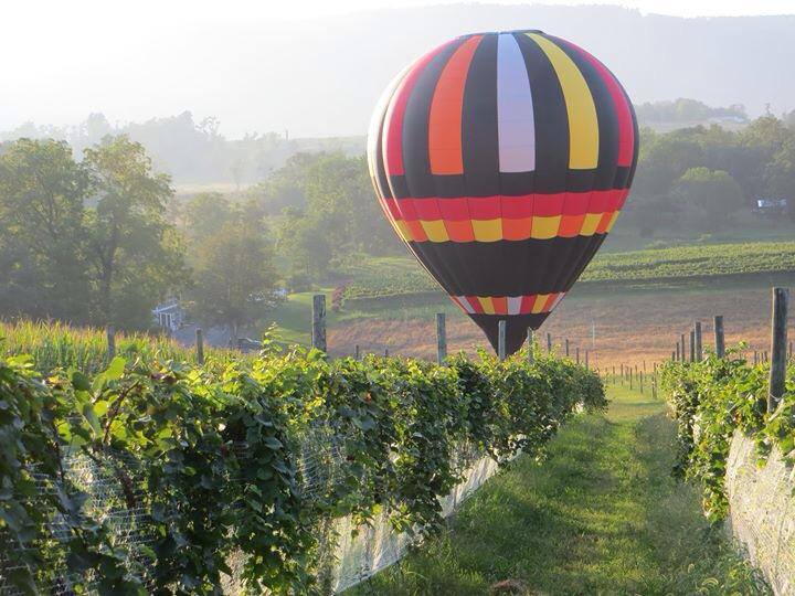 Did you miss all the fun yesterday? Don't worry, we will do it again next year. North Mountain's first annual Shenandoah Valley balloon launch.