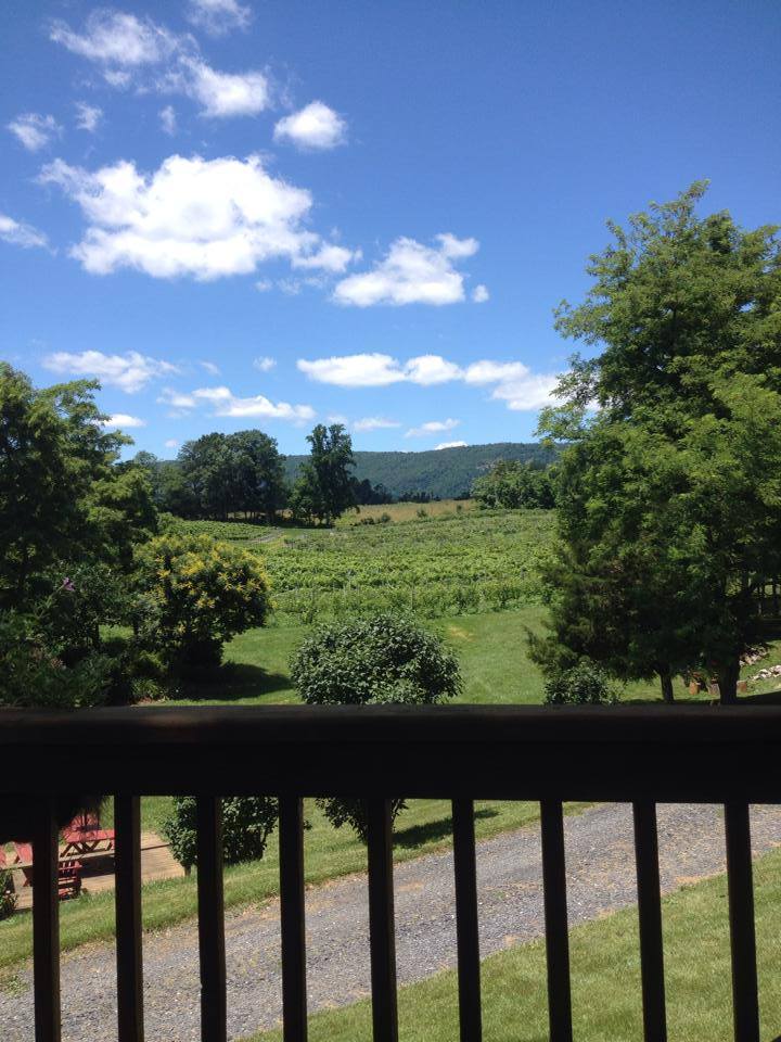 It is so beautiful on the deck today. Feel free to stop by and purchase some wine for your holiday weekend. Our customers convinced us to open after all.