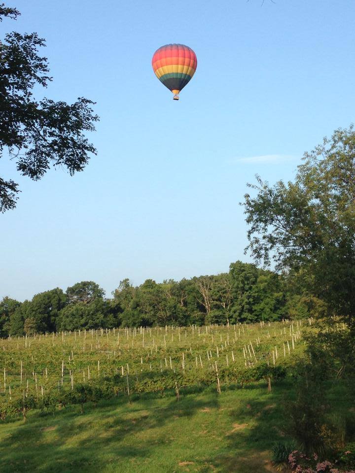 Photos from North Mountain Vineyard & Winery's post