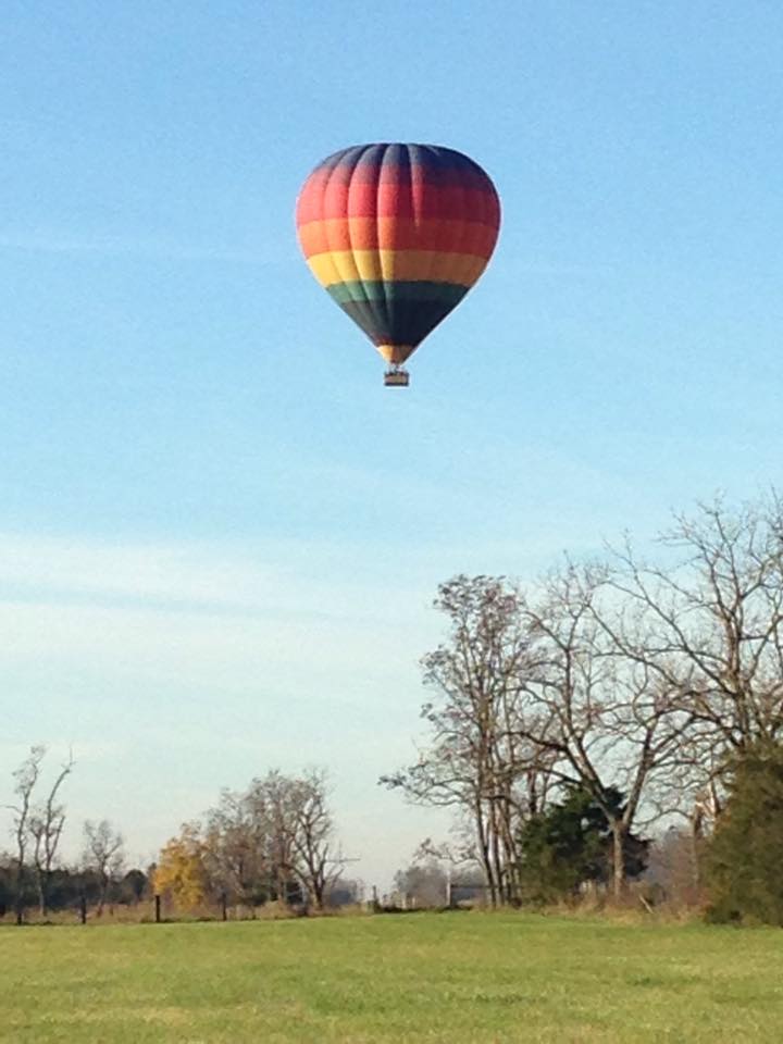 Nice way to start the day at the vineyard.