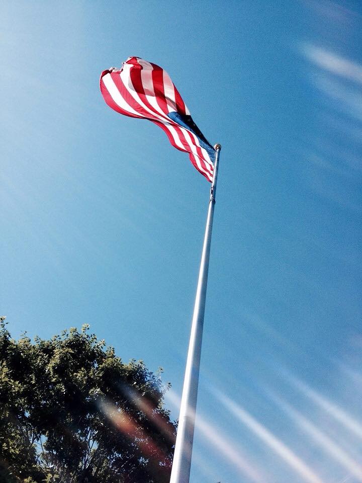 We are open 11-4 for Memorial Day. Please stop by and if you are a veteran ask for a discount! Thank you for your service!
