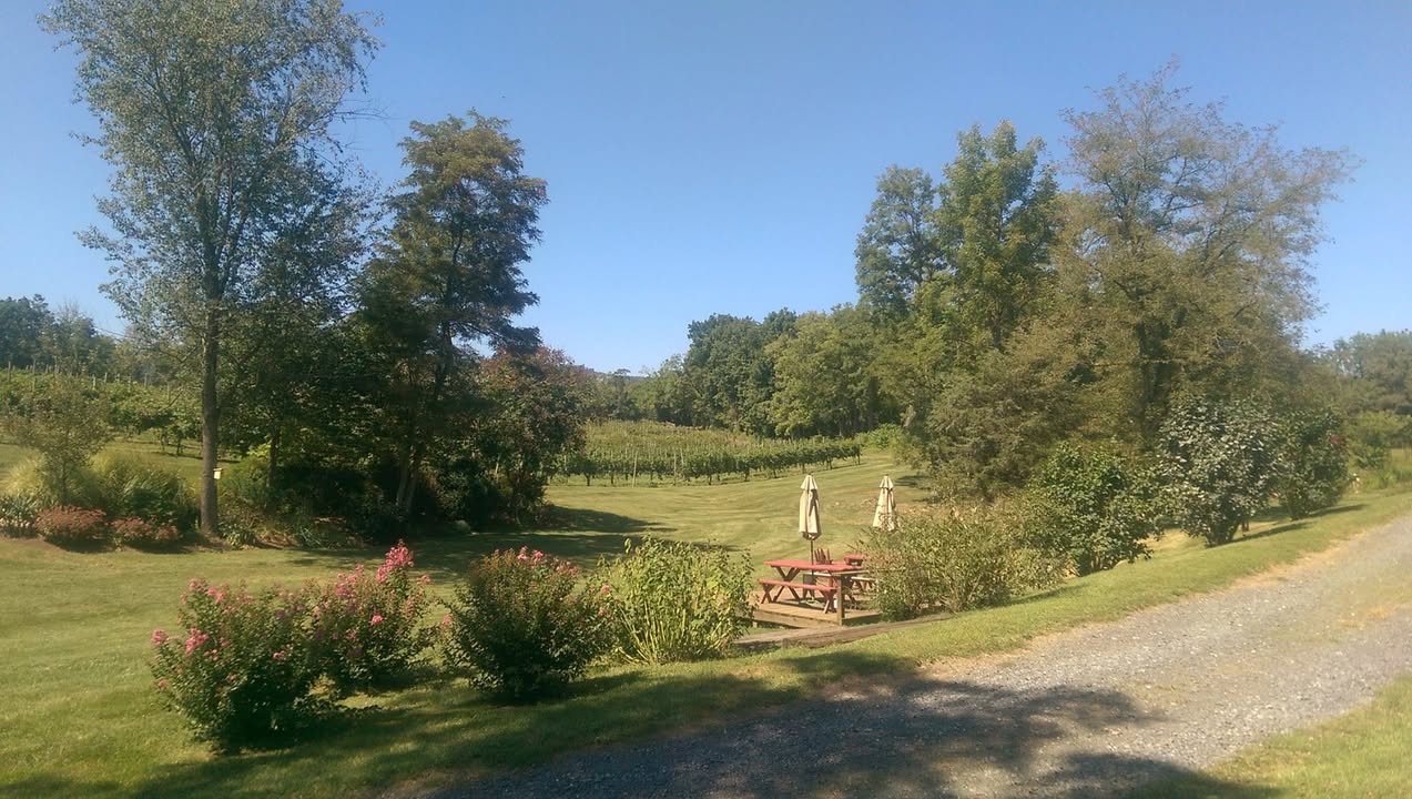Photos from North Mountain Vineyard & Winery's post