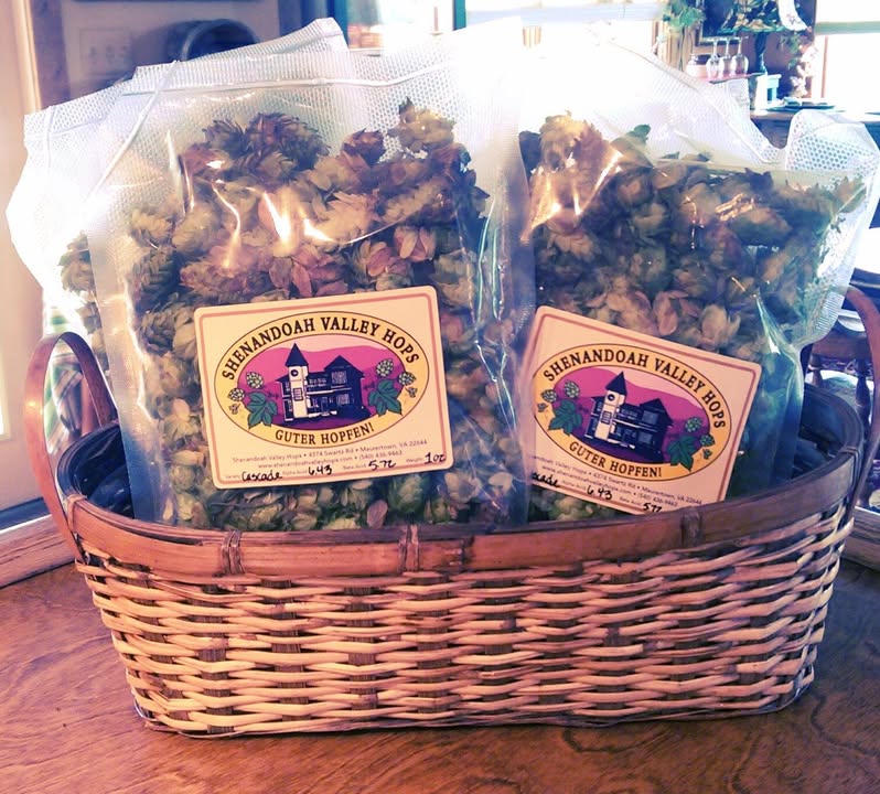 North Mountain now has some of our Cascade Hops for sale for you home brewers. Price is $5.00 for 1oz bags. Stop by and check them out.( Alpha Acids-6.43 , Beta Acid-5.72) Also North Mountain just won a silver medal for our Zweigelt at an Austrian wine competition in Vienna. More information on that to come.