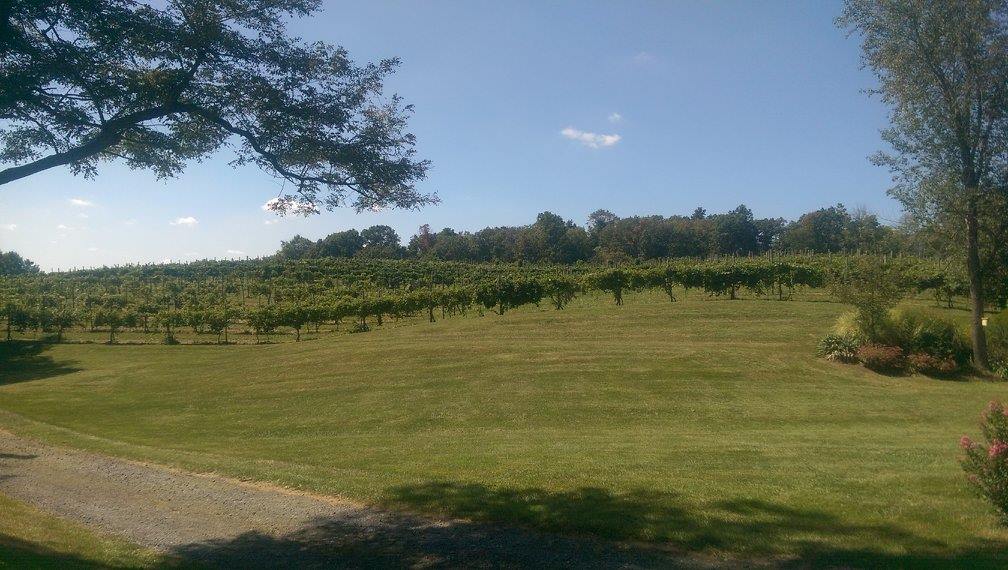 Grounds and Scenery