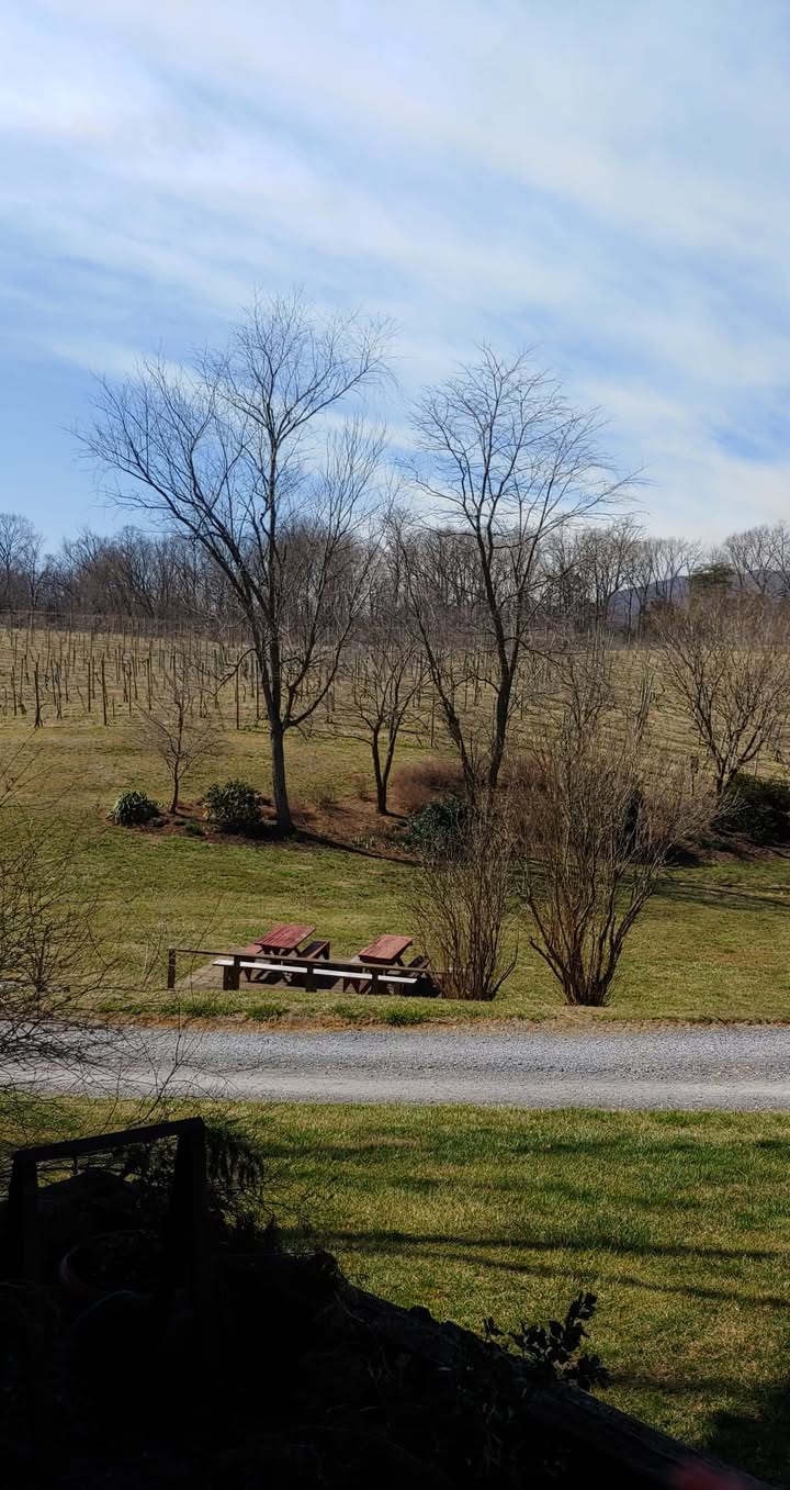 It is a beautiful Sunday afternoon out here at the winery!