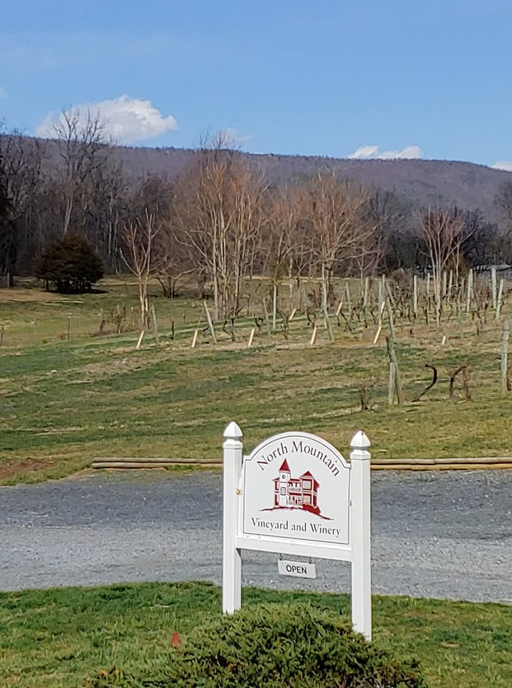 Warm sun, blue skies, and even the breeze is not too cold..... What a beautiful day to come see us and enjoy a glass of wine