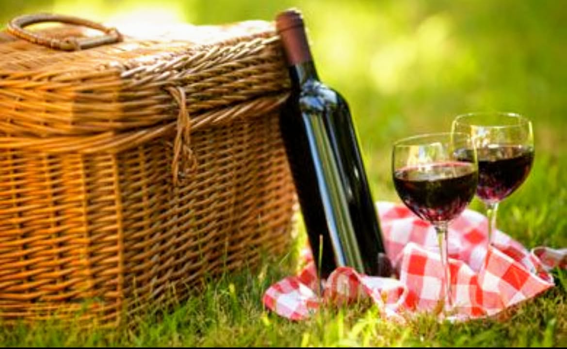 Face mask 😷. ✔️ Wine glass 🍷. ✔️ Picnic items 🥪. ✔️ Family/Friends 👥. ✔️ All set for the North Mountain Vineyards Summer Solstice Celebration 🌄 on Saturday from 11-8!!