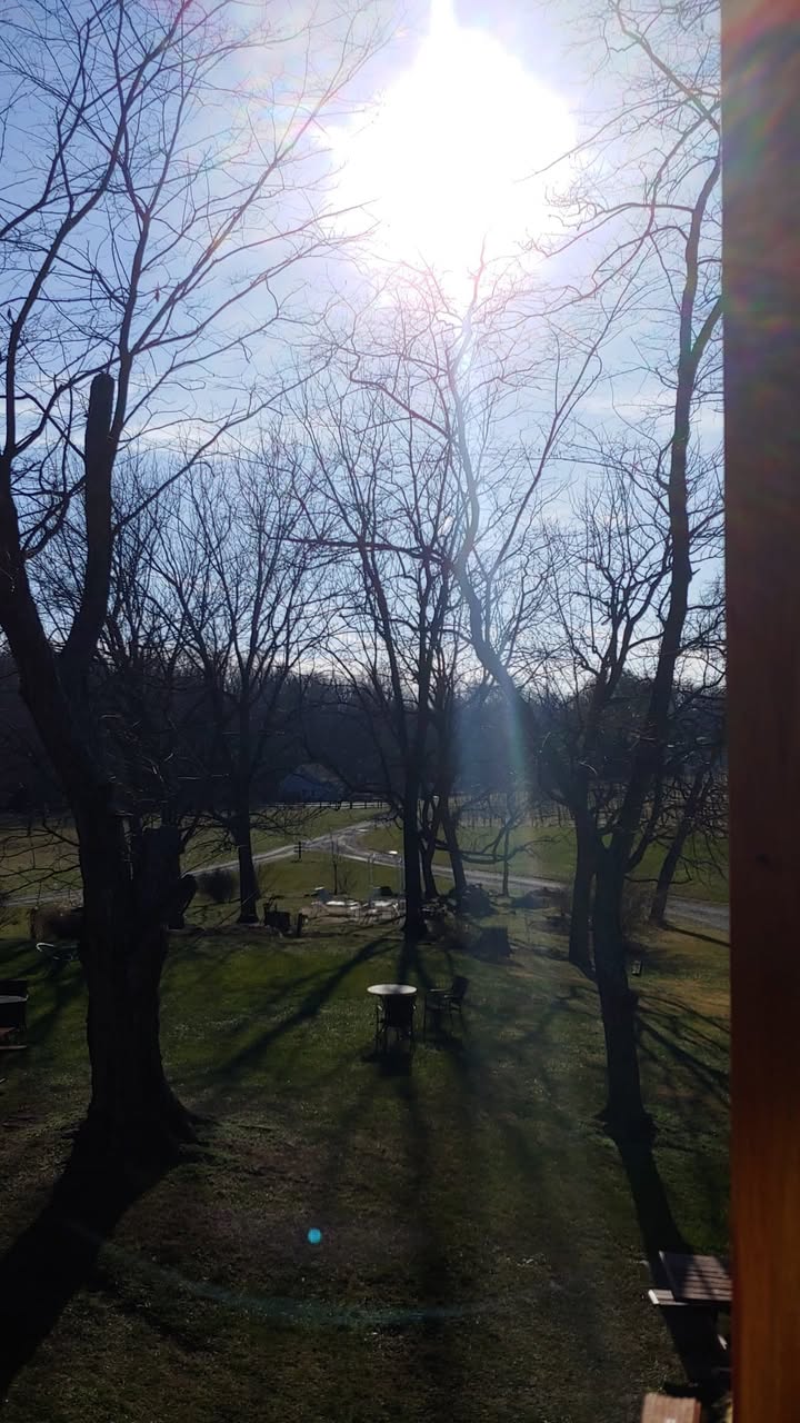It is a beautiful, sunny, 50° day here at the winery with just the slightest hint of a breeze! Come on out and enjoy some wine on the deck or on the grounds basking in the sun!