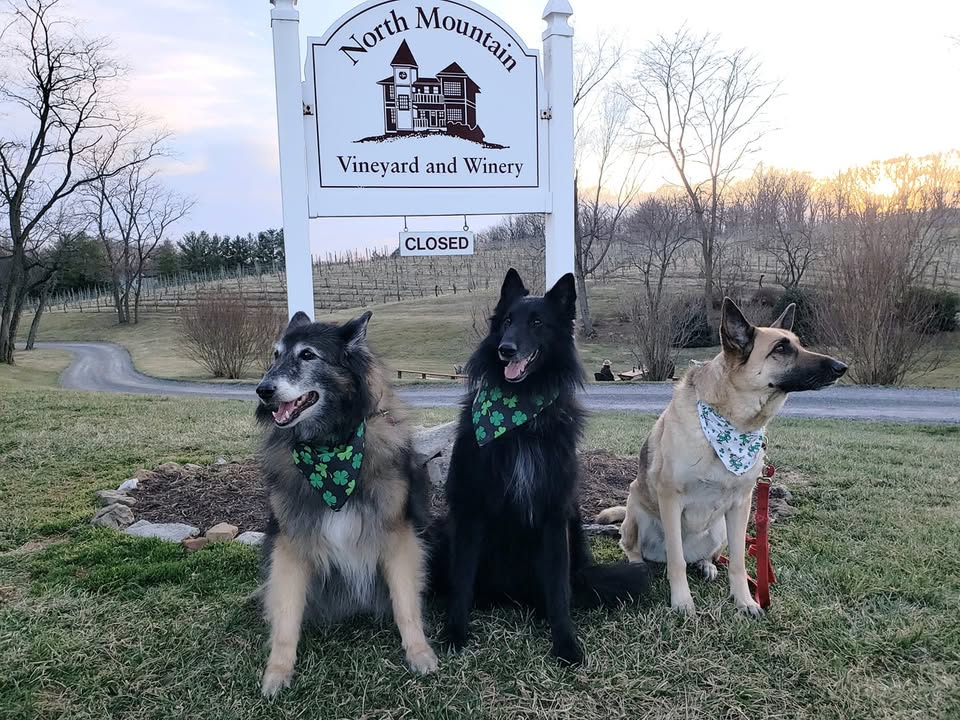 Dia dhuit, Erin go Bragh. Come celebrate St. Patrick's Day with a beef stew lunch (prepared by Shaffer's bbq) on Wednesday, March 17th. It is predicted to be a beautiful day, sunny and 68 degrees.