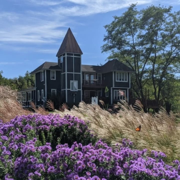 Our winery building, decks and grounds are fully open. We respect our customers’ choices of wearing a mask or not based on their level of comfort. All of our employees have been vaccinated and look forward to serving you. • We are selling wine by the glass, bottle, and case, in addition to wine flights of 5 wine samples of your choice. • We are offering small selection of gourmet prepackaged foods. • You may bring picnic foods for your enjoyment. • Per Virginia ABC laws, alcohol not sold at North Mountain Vineyard is not permitted on the premises. • We encourage you to bring blankets, chairs, and lawn games for your enjoyment for seating on the grounds. • Dogs on a leash are welcome.