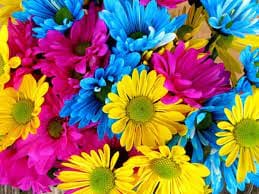 Make Mother's Day a 2 day event at North Mountain. Enjoy the music of Bill Foster and Don Crigler on Saturday from 2-5. Treat her to a charcuterie box and glass of fruit punch on Sunday from 11:30-2. Served in the Great Room or on the deck. Reservations are required. Please call 540-436-9463