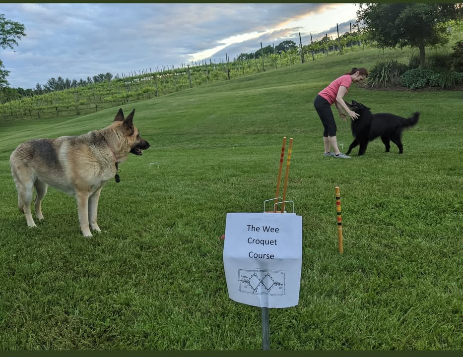 North Mountain Vineyards trying to bring a little bit of Scotland to Virginia. Stop by today and play a round! We also have horseshoes and a net up!
