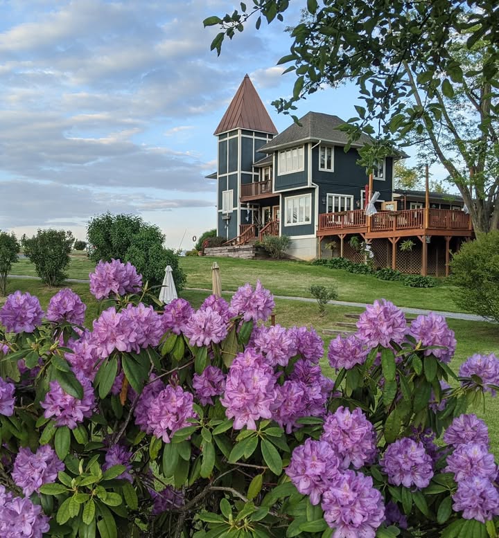 After you're done shopping for the kids back to school items, come on in to North Mountain Vineyards and unwind with a glass or bottle of wine and save 5% today