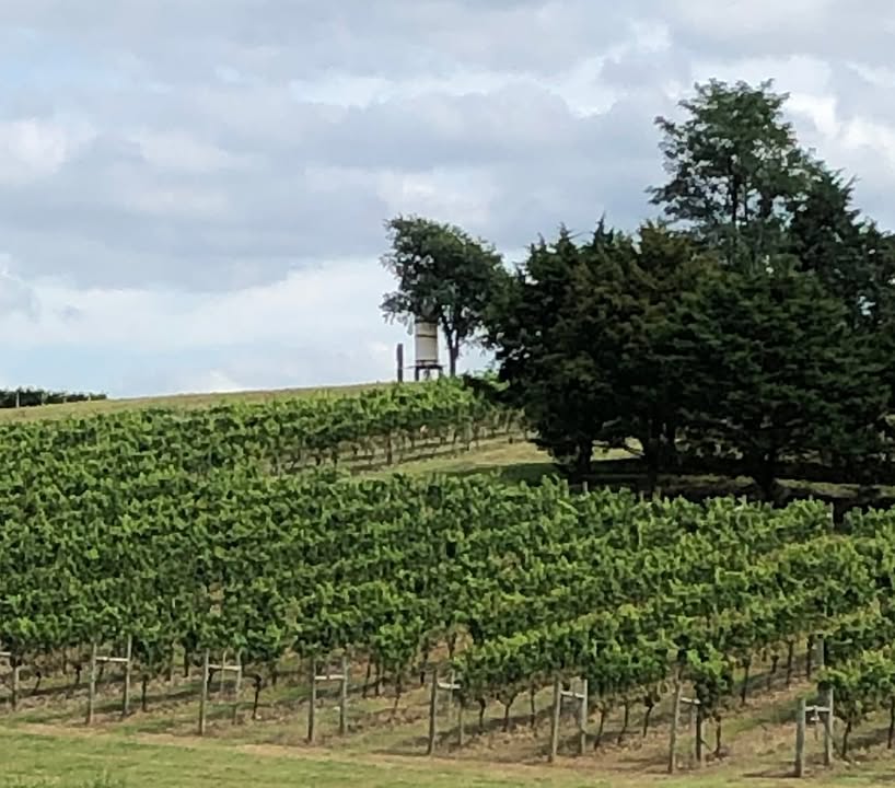 Question of the day....What is fermentation? #NMwine #VAwine #shenandoahvalleyava