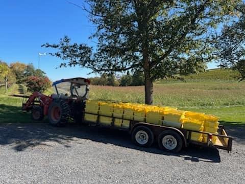 Photos from North Mountain Vineyard & Winery's post