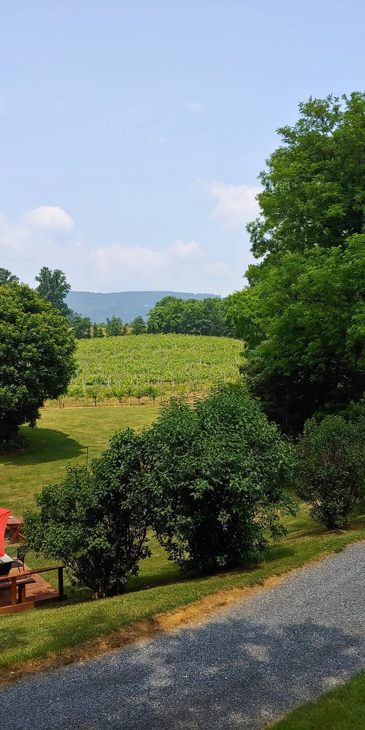 Photos from North Mountain Vineyard & Winery's post