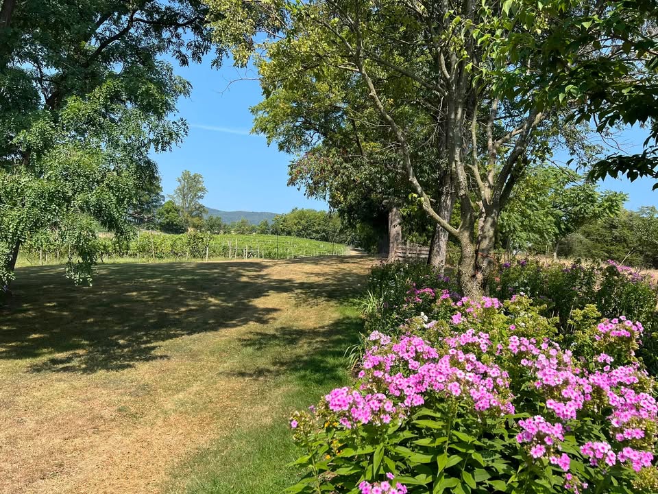 Photos from North Mountain Vineyard & Winery's post
