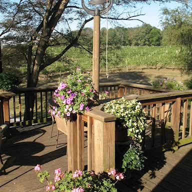 North Mountain Vineyard and Winery was established in 1982. All grapes are estate grown and the wines are estate produced. Our winemaker strives to present a unique array of elegant wines exclusive to our vineyard’s terroir. We are open year-round, Wednesday – Sunday from 11:00 am – 5:00 pm, f...