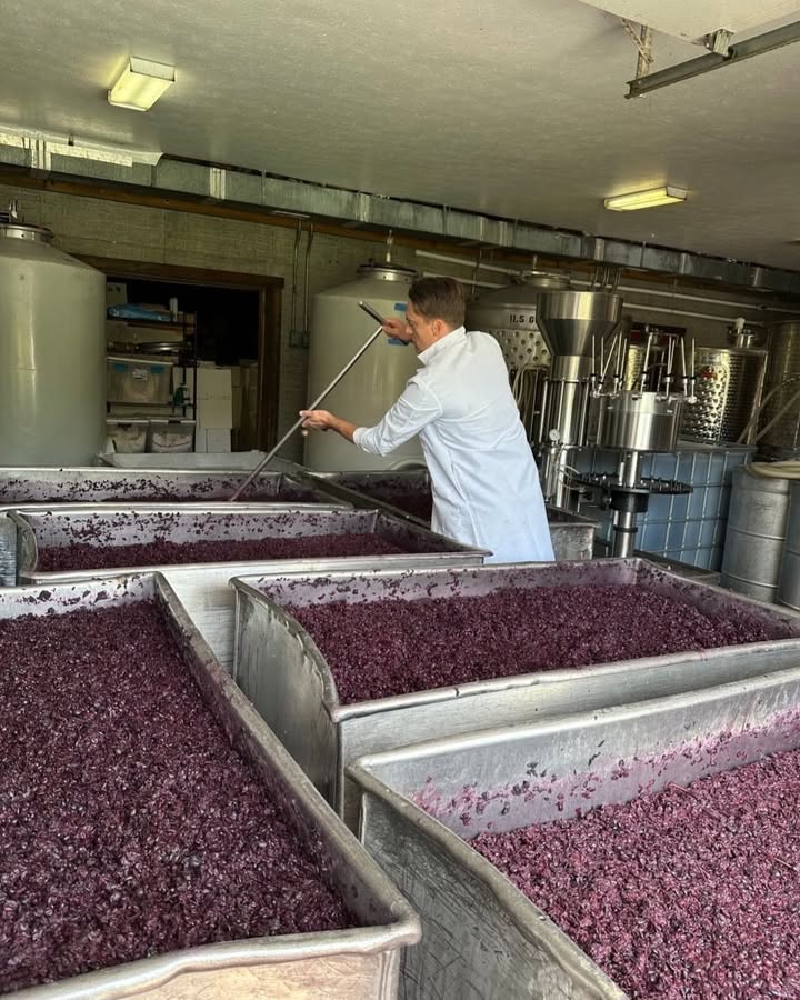 Photos from North Mountain Vineyard & Winery's post