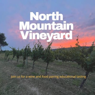 Have the cold winter doldrums and need to get out to try something new? North Mountain has just the delicious diversion for you. We are offering a seated, educational food and wine pairing each Saturday in the month of February. Try four of our wines with curated food bites in the comfort of our cozy great room. Learn about our terroir and the influence it has on our wines. Bonus pour from the wine cellar included. Due to limited seating, reservations are requested and can be made through Tock which can be found on our webpage or, by calling us at 540-436-9463. #nmwine #vawine #virginiaisforwinelovers #shenandoahvalleywinetrail #shenandoahvalley