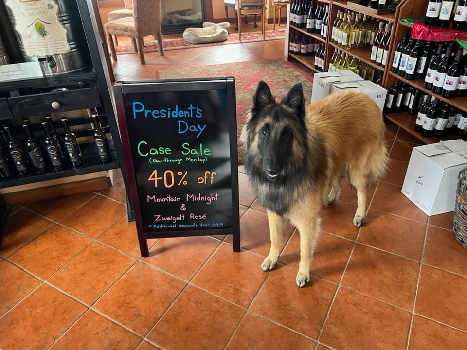 Islay is ready to help with your wine selection 😀