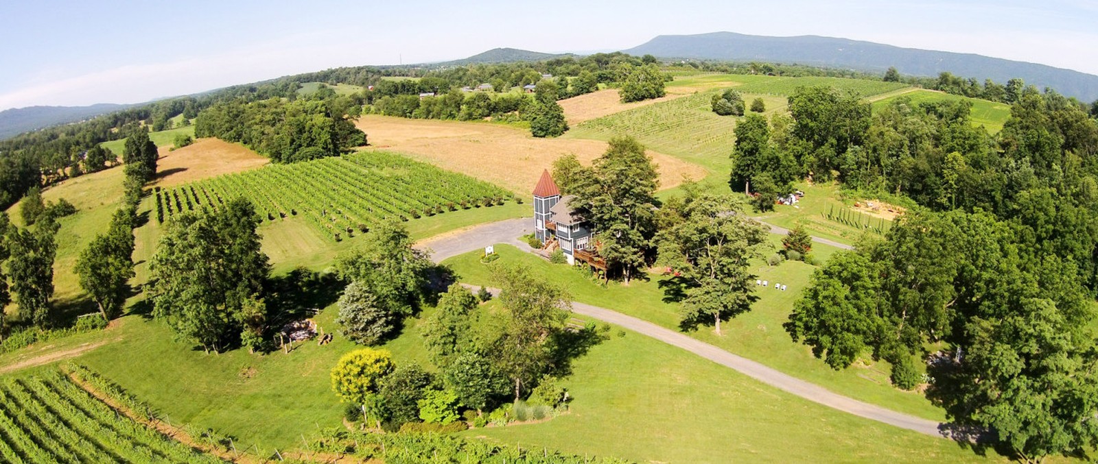 North Mountain Vineyard estate
