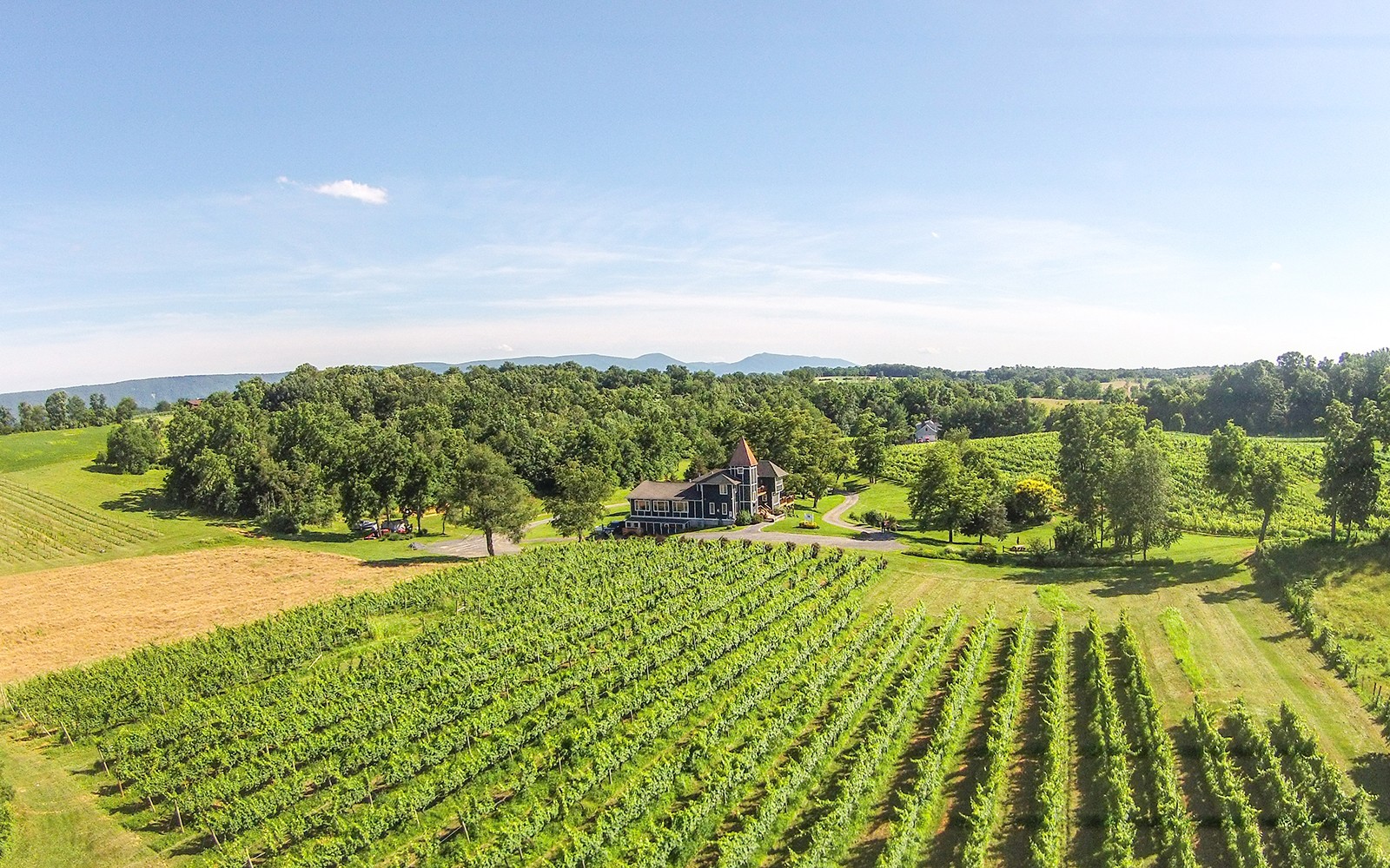 Aerial view of North Mountain Vineyard and surrounding acreage