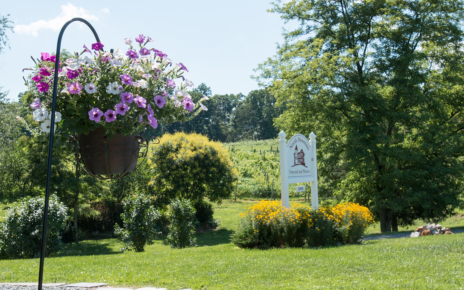 North Mountain Vineyard building and grounds