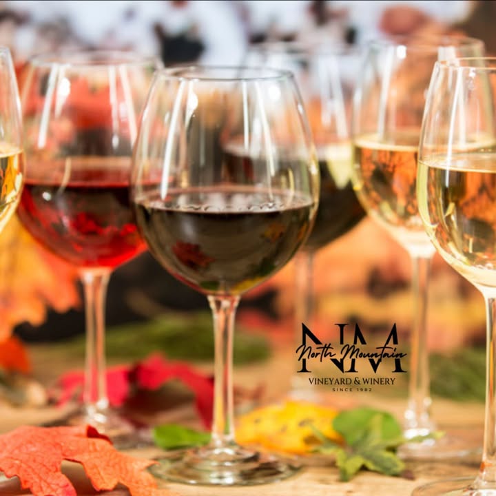 It’s Thirsty Thursday! The perfect excuse to try something new! 🍷 Ask us for a recommendation and we’ll help you find your perfect pour for the weekend. Open 11-5 today! #NorthMountainWinery #VAWine #VirginiaWine #VisitVA #DrinkLocal #SipLocal #ShenandoahValley #WineryVibes #WineryLife #WineLovers #WineTime #WineTasting #WineCountry #VineyardViews #MountainViews #WineFlight #WineDaily #WineNight #WineExperience #WineryLove #LocalWine #SupportLocalVA #SipSipHooray #WeekendWine #WineLifeVA #VAVineyards #WineAndViews