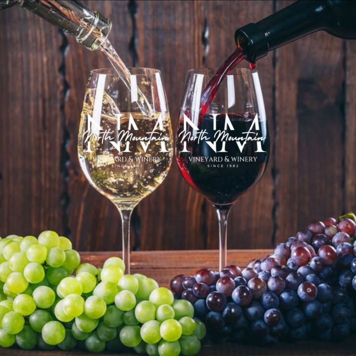 Happy Saturday! 🍇✨ Our Thanksgiving 3-Bottle Bundles are moving FAST and we only have a limited number left! If you need wine for Thanksgiving dinner, hosting, or early holiday gifting, today is the day to grab yours. Once they’re gone, the wines go back to full price - no exceptions. ❤️ 🎁 THANKSGIVING TRIO BUNDLE - $69 (Limited!) • Riesling - perfect with appetizers • Cabernet Franc - ideal for the main course • Mountain Midnight - rich + dessert-friendly $81 value → only $69 No substitutions • While supplies last Once bundles sell out, each bottle returns to regular price. 🍯 MEAD LOVERS - We’ve Got All 3 Flavors! All three mead flavors are in stock today! • Winter Cheer (Bourbon Barrel Aged) • Sunburst Citrus • Strawesome Try the full trio, find your favorite, and leave with the bottles you love most. These go fast - don’t wait! 📍 Open 11-5 Come stock up, sip, shop, and relax with us, we’d LOVE to see you today! #NorthMountainVineyard #NorthMountainWinery #VirginiaWine #VaWine #WineBundle #ThanksgivingWine #HolidayWine #HolidaySeason #LimitedBundles #MovingFast #ShopLocalVa #ShenandoahValley #DrinkLocal #WineLovers #WineWeekend #WeekendVibes #WineSale #WineryLife #VisitVa #SupportLocal