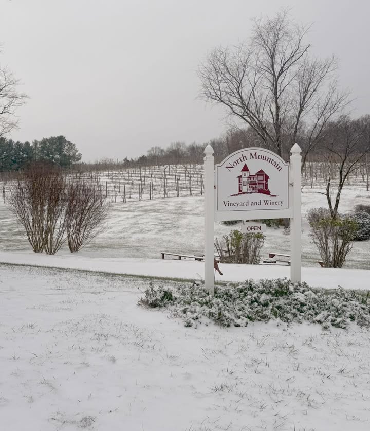 Share your favorite memory at North Mountain Vineyard & Winery in the comments below. Bonus points if you include a photo! 📸 🍷 We may even feature a few on our page! ✨ #NorthMountainVineyardAndWinery #VirginiaWine #ShenandoahValleyWine #WinchesterVA #VAWineCountry #VineyardViews #WineLovers #WineryLife #SipAndShare #WineryMemories #VisitVirginia #SupportLocalVA #DrinkLocalVA #WineTasting #VineyardVibes #CaptureTheMoment #WineCommunity