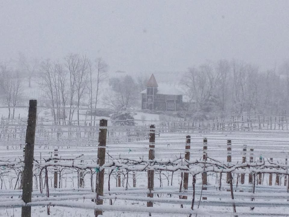 ❄️ Winery Snow Update ❄️ We’d love to see you before the snow rolls in! SATURDAY AT THE WINERY 11:00 AM - 5:00 PM Live music with Paul Tangren | 2:00 - 5:00 PM Soup Saturday begins tomorrow! • Vegetarian Chili • Cream of potato SNOW DAY CELLAR STOCKING If you’d like to stop in to stock your cellar or grab some bottles to sip on during the storm, we’re offering case sales: • 25% off Claret • 25% off Mountain Midnight • 20% off full cases • 10% off half cases WEATHER CLOSURE UPDATE With significant snowfall expected, we’ve made the decision to close on Sunday to protect the safety of our staff and our guests. LOOKING AHEAD Sunday: Closed due to weather Monday & Tuesday: Closed as usual Wednesday: Planning to reopen - please keep an eye on our social media pages for live updates as conditions evolve Thursday: Sourdough Class with The Little R Micro Farm If you’re able, come out and enjoy some wine, music, soup, and stock up before the snow hits later Saturday evening! Stay warm, stay safe, and we’ll see you soon. ﻿ Cheers!