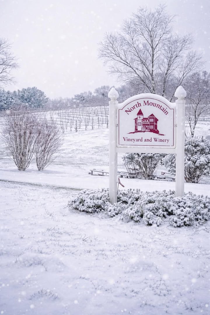 Photos from North Mountain Vineyard & Winery's post