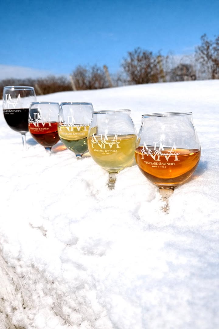 🍷✨ Something for every palate ✨🍷 Whether you’re a wine lover, cider fan, or mead enthusiast, we’ve got you covered. 🍇 Wine 🍎 Cider 🍯 Mead 🍹 Wine cocktails And coming soon… mocktails, so everyone can sip and enjoy! No matter your taste, there’s a glass waiting for you at North Mountain Vineyard & Winery 🤍 Open Wednesdays-Sundays 11:00AM-5:00PM