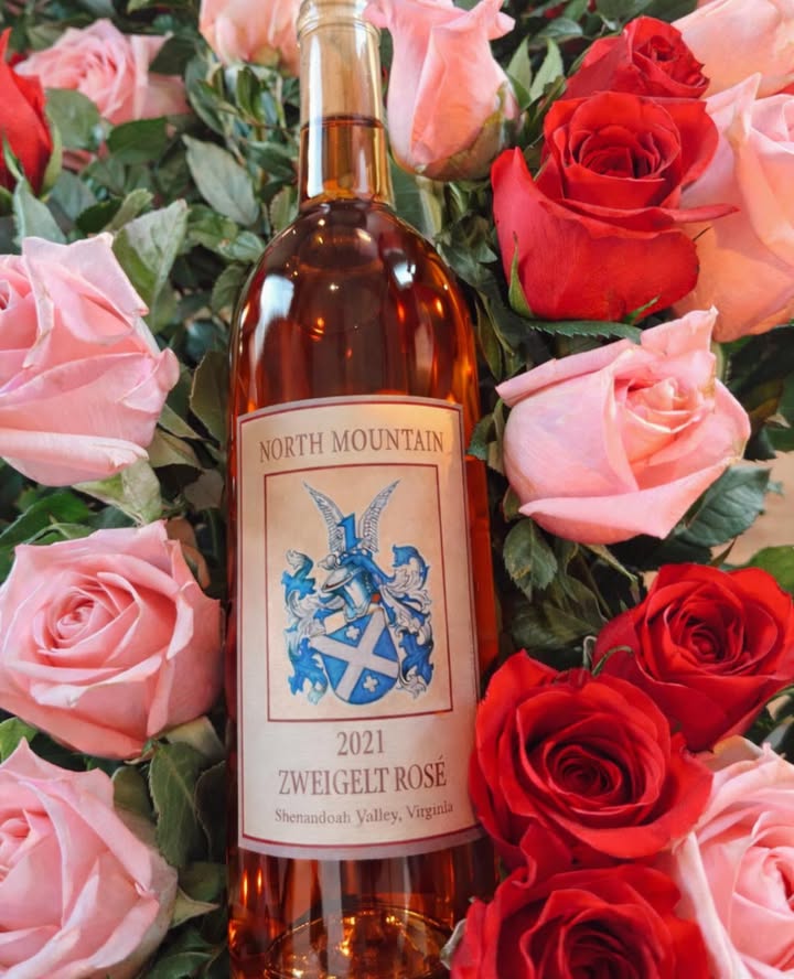 🍷✨ Galentine’s Day at North Mountain Vineyard & Winery ✨🍷 Sunday, February 15th | 11-5PM Grab your girls, your besties, your sisters, your mom crew, it’s time for Galentine’s Day… Winery Edition! 💕 ✨ What to expect: LIVE MUSIC: Lisa Fritsch • Wine flights, glasses, & bottles • Mocktails! • Girly photo spot • Permanent jewelery with Forever Linked by CG • Live music • Optional add-ons (charcuterie, treats, etc.) • Relaxed girls-day-out atmosphere • Dress cute in pink, red & sparkle (optional but encouraged!) • The Little R Micro Farm - sourdough, gf brownies, cookies, foccacia, hand quilted items • Sweet & Savvy - sweet treats! 🌸 Rosé Sale! • 20% OFF bottles • 25% OFF cases Celebrate friendship, sisterhood, and the women who keep life sweet, all with a beautiful mountain view. While it’s called Galentine’s Day, everyone is welcome to join us, men included! It’s simply a fun celebration of friendship, good wine, and good company.