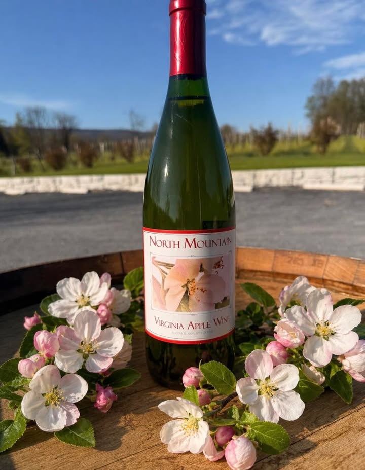 🍎 This one right here… always the crowd favorite. Our Apple Wine is made from a blend of Golden Delicious + Fuji apples, locally sourced from Showalter’s Orchard & Greenhouse, and it’s seriously one of those “you just have to try it” wines. Crisp, refreshing, and way too easy to drink. We’ll be pouring at the United Bank Bloomin’ Wine Fest in downtown Winchester this Friday & Saturday, so if you’re coming out, make sure you stop by and see us! 🍷 And if you grab 3 bottles (apple or mix & match), we’ll hook you up with a discount too. We’ll have other wines to taste too! #appleblossomfestival #bloominwinefest #unitedbank #appleblossom #virginiawine #winefest #winchesterva #loveva #virginiaisforwinelovers