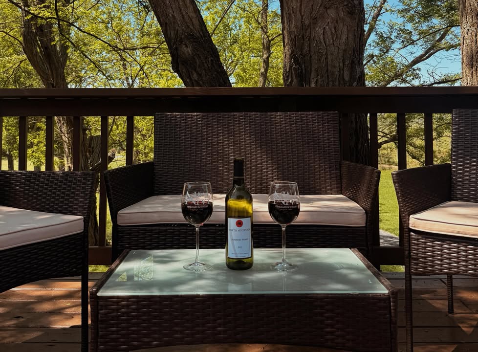 Birds chirping, good wine, and a quiet corner under the trees. 🍷 There’s nothing better than slowing down with a bottle of Cabernet Franc at North Mountain Vineyard & Winery. Come sip with us. #CabernetFranc #NorthMountainVineyard #Winery #ThirstyThursday #VirginiaWine #Vineyard #VirginiaTourism #LoveVa #VirginiaIsForWineLovers