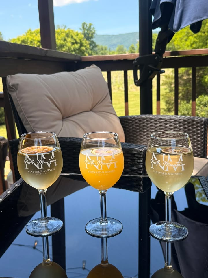 90° weather means patio season is calling! ☀️🍷 Come cool off with one of our refreshing wine cocktails, 3 yummy flavors to choose from! Not drinking? We have a mocktail menu too. 🥂 #NorthMountainVineyardAndWinery #WineCocktails #MockTails #PatioSeason #DrinkVirginiaWine #LoveVa #ShenandoahCounty #VirginiaTourism #GetOutside #Winery #Vineyard