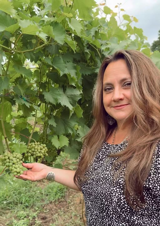 Every great vintage begins in the vineyard.