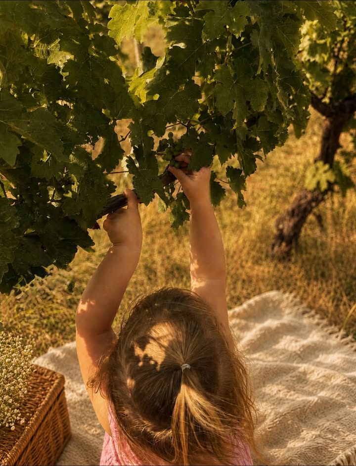 Caught our tiniest grape thief in the vineyard!
