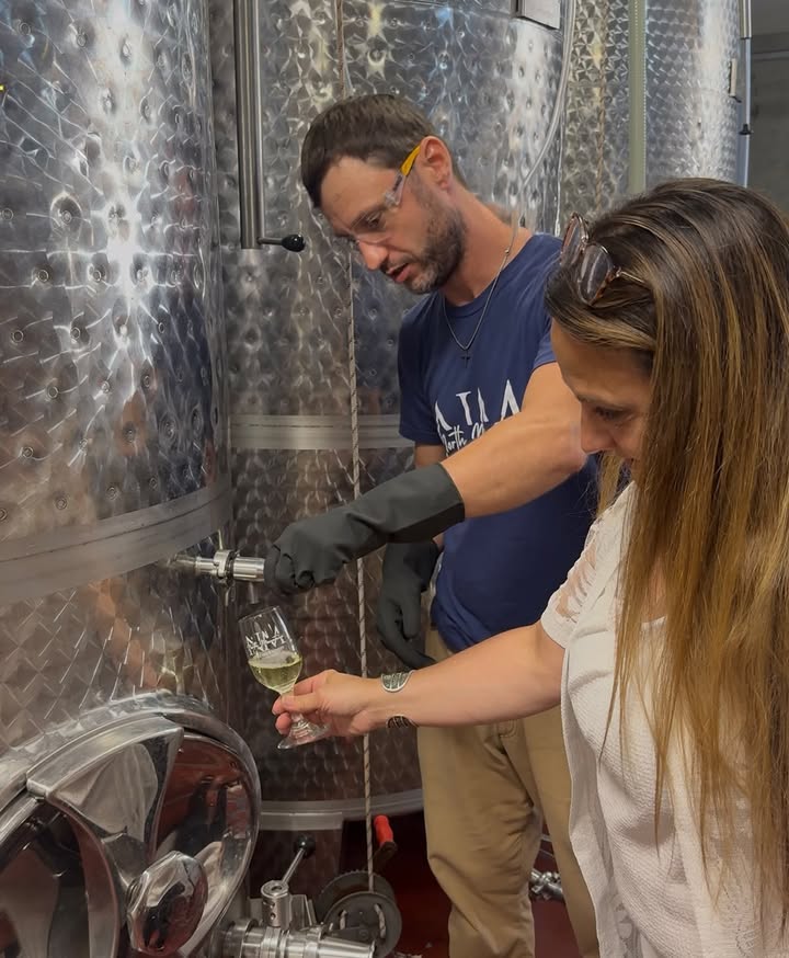 A little behind-the-scenes look at the winemaking process.