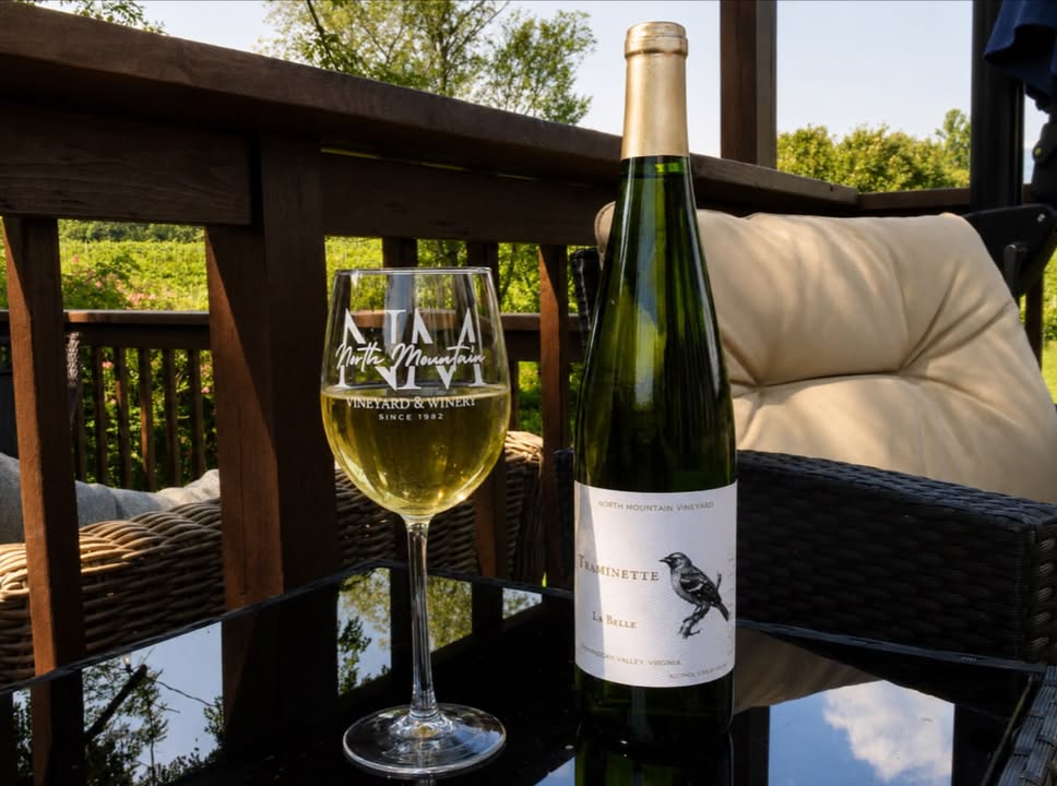 A little sunshine, a vineyard view, and a glass of Traminette.