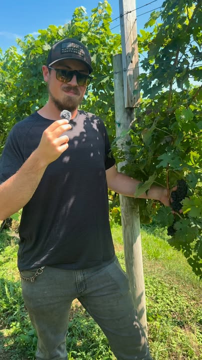 Meet the people somehow keeping this winery running 🍷😂