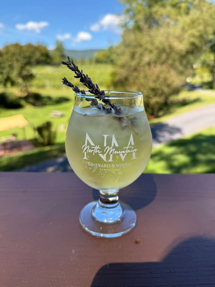 Meet the Lavender Spritz 💜🌿