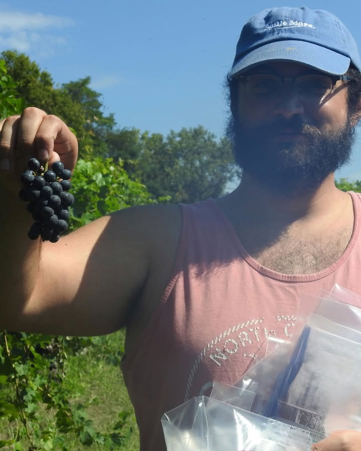 October is Virginia Wine Month!